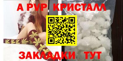 дурь Кингисепп