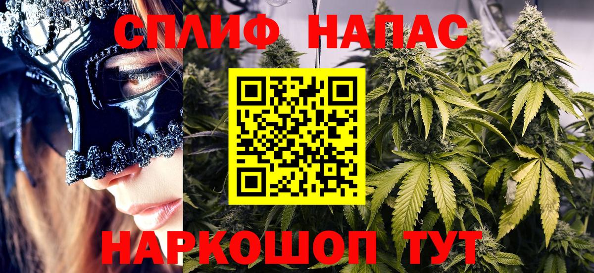 Марихуана семена Куйбышев